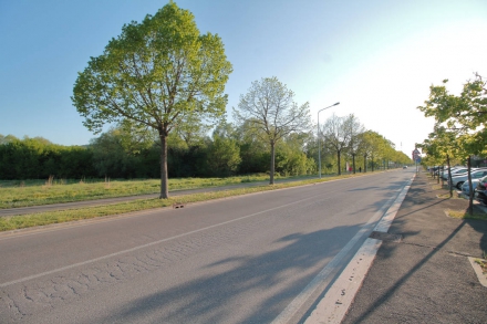 Terreni agricoli in zona Anconetana-Marchionna